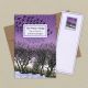 The Winter Hedge
Walks in a Deep Lane

by Miriam Darlington