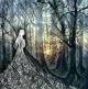The Lady of the Woods By Alexi Francis