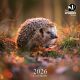 The Wildlife Trusts 2026 Calendar 