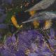 Where the bee sings by Catherine Hyde