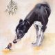 NEW: Bella and the Robin - Christmas Pack