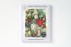 AGBI CHRISTMAS CARD PACK – The Night Before Christmas
Artist: Jill Leman